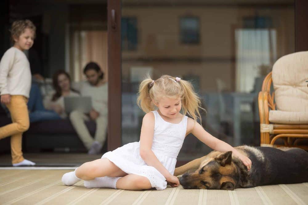 Little girl pets German Shepherd. Before you adopt a furry companion, evaluate your family’s lifestyle and daily routine. Consider factors such as activity level, available space, and time commitment.