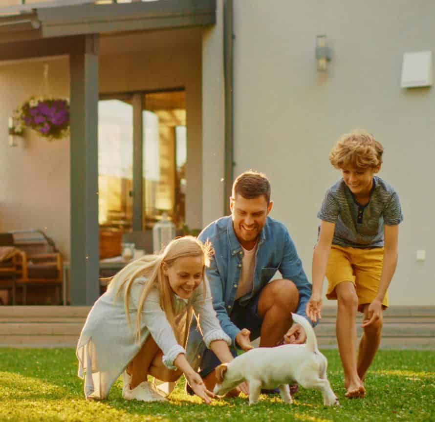 The family plays with Jack Russell Terrier in the backyard.  Size is an important consideration when choosing a family dog.  Large breeds like Golden Retrievers and Labrador Retrievers may be better suited for active families, while small breeds like Beagles and Cavalier King Charles Spaniels may be better suited for small homes and families with small children.