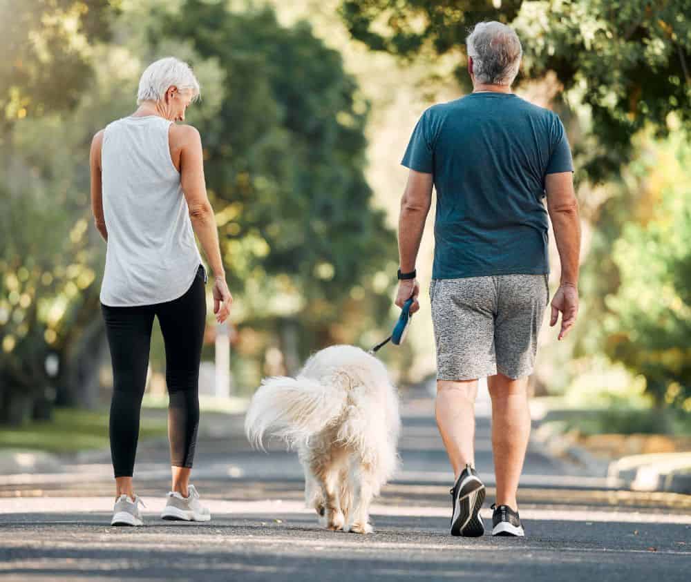 Older couple walks a dog. Walking with a friend or two increases safety for you and your pup and provides help in case of dog walking injuries.