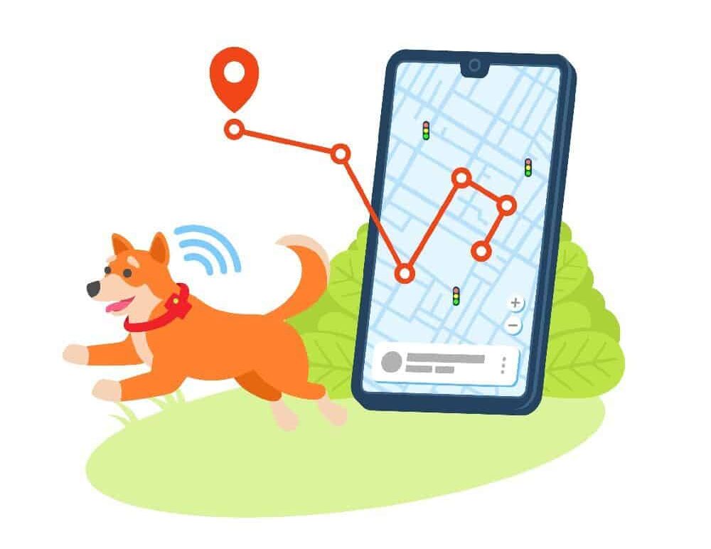 Use a GPS tracker to keep tabs on your dog. From tracking activity levels to booking vet appointments, use smartphone apps to ensure your furry friend gets the best care possible.