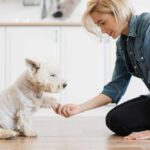 10 tips to make your tiny house work for you and your dog