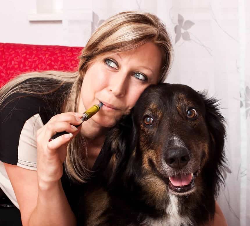 Vaping can be dangerous for dogs, who can be exposed to harmful chemicals in e-cigarette smoke or ingest nicotine-containing products.