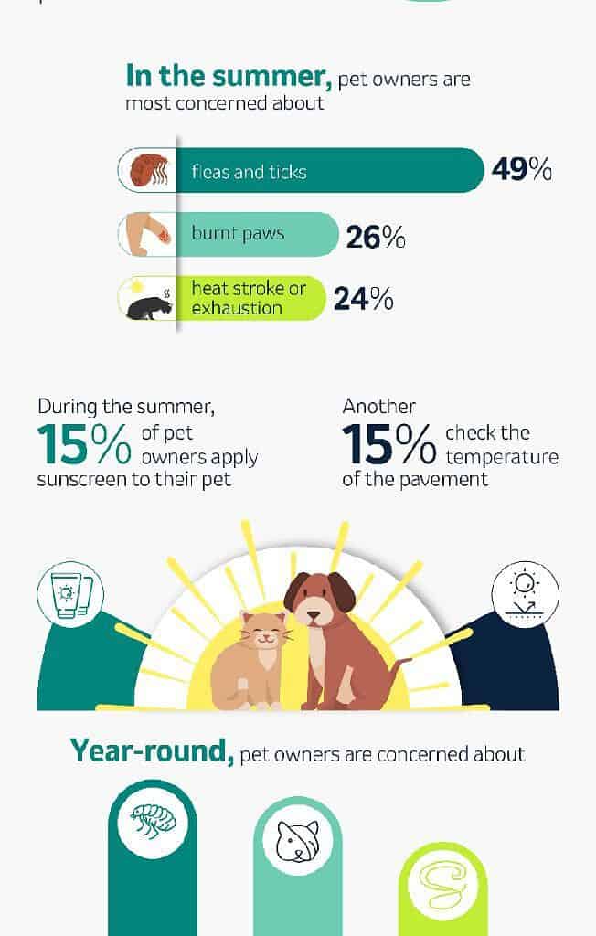 According to a survey of 2,000 U.S. pet owners split evenly by region, 15% apply sunblock to their pet during summer. The survey was conducted by OnePoll for Merck Animal Health