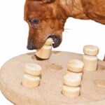 Playing brain games with your dog helps develop problem-solving skills, reduces boredom, and improves independence.