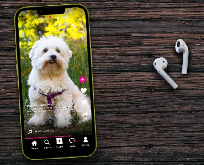 TikTok dog photo illustration.