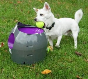 Petsafe automatic dog ball launcher