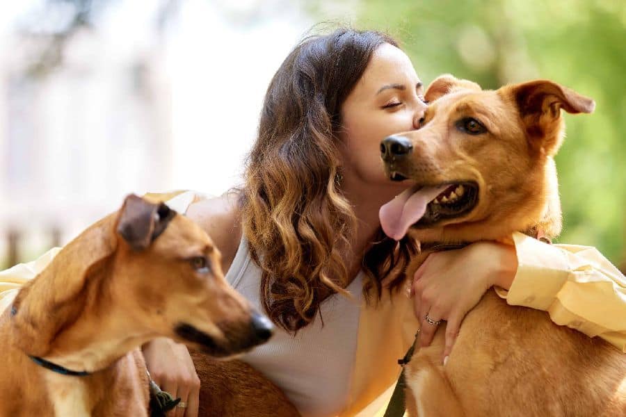 Woman hugs dog. Fostering dogs can benefit the dog and caregiver. First, consider whether or not you have the time and space to properly care for them.