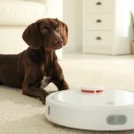 Robot vacuum cleaners are efficient and convenient cleaning devices that save time, provide allergy relief, and operate quietly.
