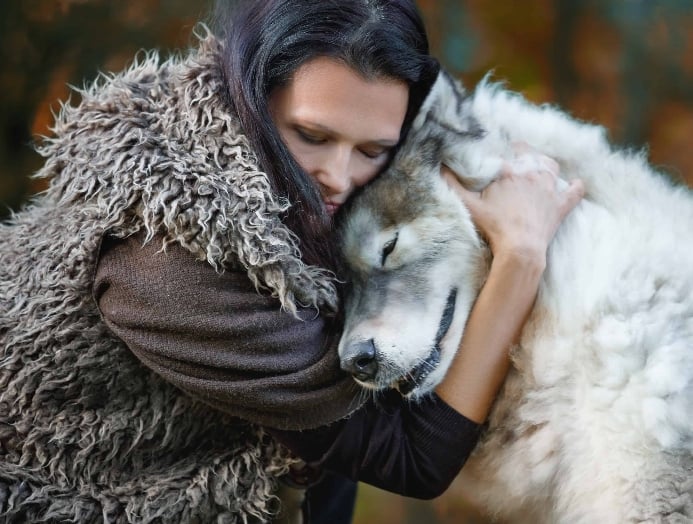 Woman hugs husky dog. History of dogs shows how wolves became domesticated.