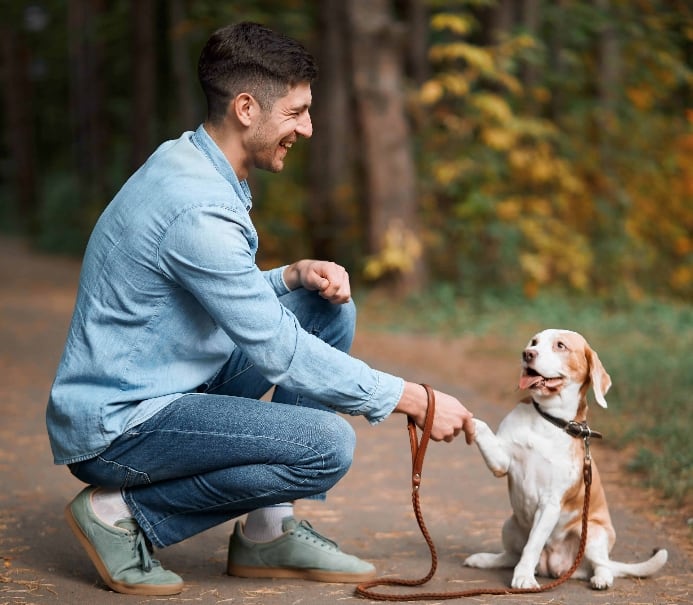 Man with beagle. Use DogsBestLife's dog training 101 expert tips, advice, and proven techniques.
