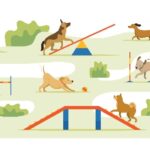 Dog-friendly play zone illustration