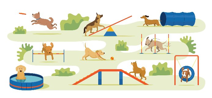 Dog-friendly play zone illustration