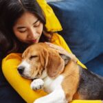 Woman cuddles with beagle. Illustration for emotional support animals article.