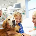Girl hugs animal-assisted occupational therapy dog at hospital.