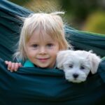 Boy cuddles with Maltese in hammock. Illustration for perfect dog breed article.