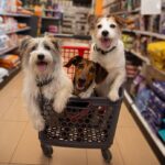 Three dogs sit in shopping cart. Photo illustration for greenwashing post.