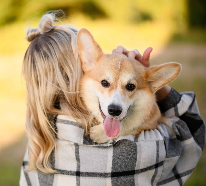 Woman snuggles with corgi. Photo illustration for emotional connection post.