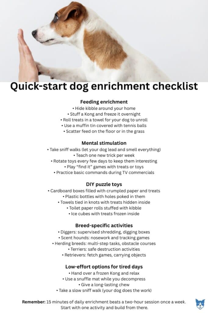 Dog enrichment activities checklist