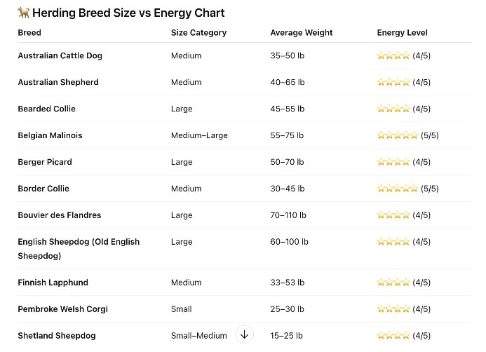 Herding dog breeds chart