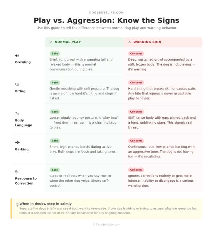 Aggressive puppy warning signs graphic