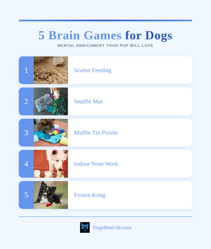 Brain games for dogs graphic