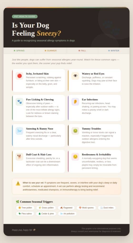 seasonal allergy symptoms graphic