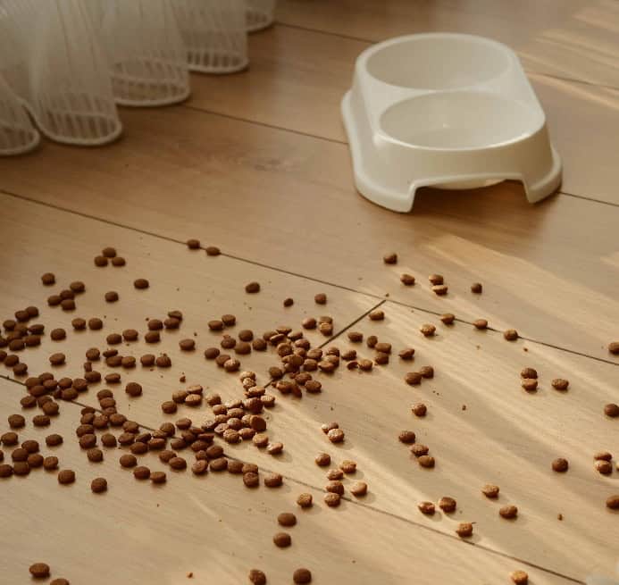 Scatter feeding photo for dog enrichment games photo.