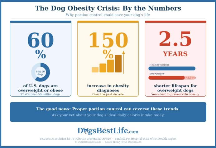 Obesity stats graphic for portion control post.