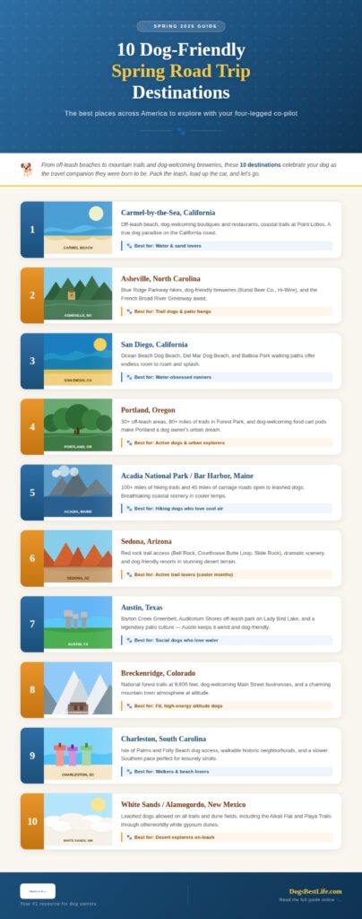 Dog-friendly road trip graphic