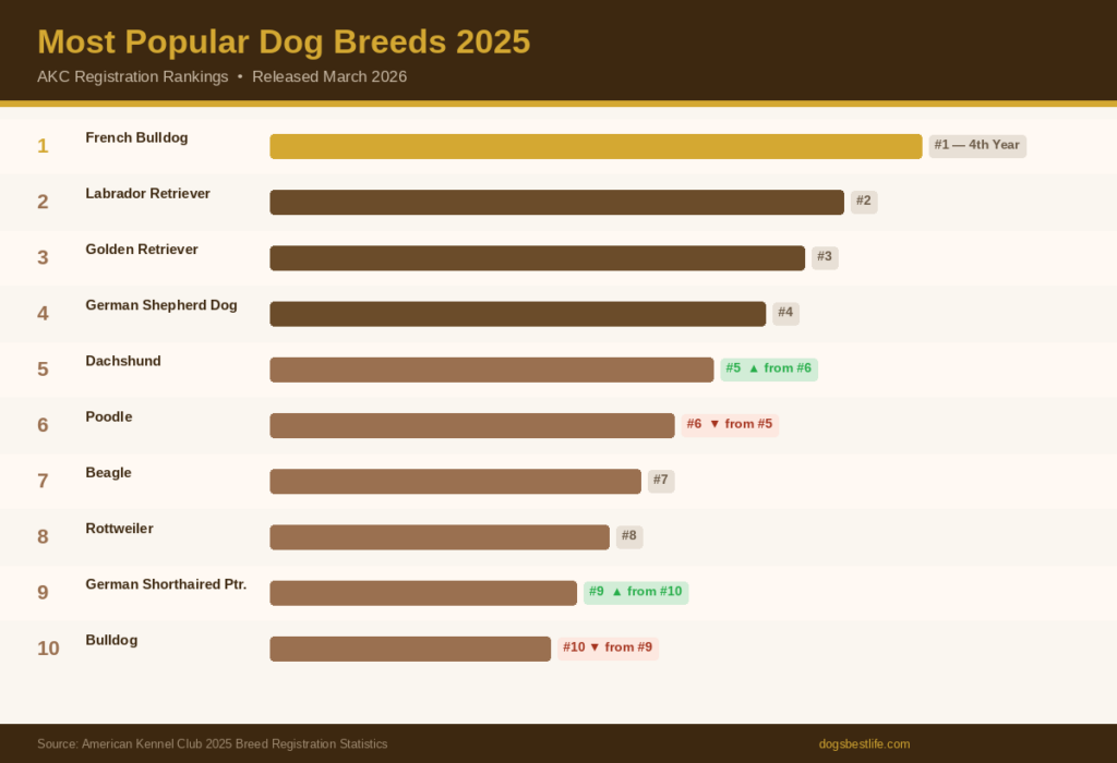 AKC top 10 rankings for 2025