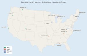Map of dog-friendly summer destinations