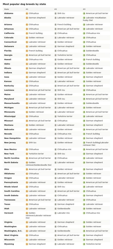 Top 3 popular dog breeds for each state