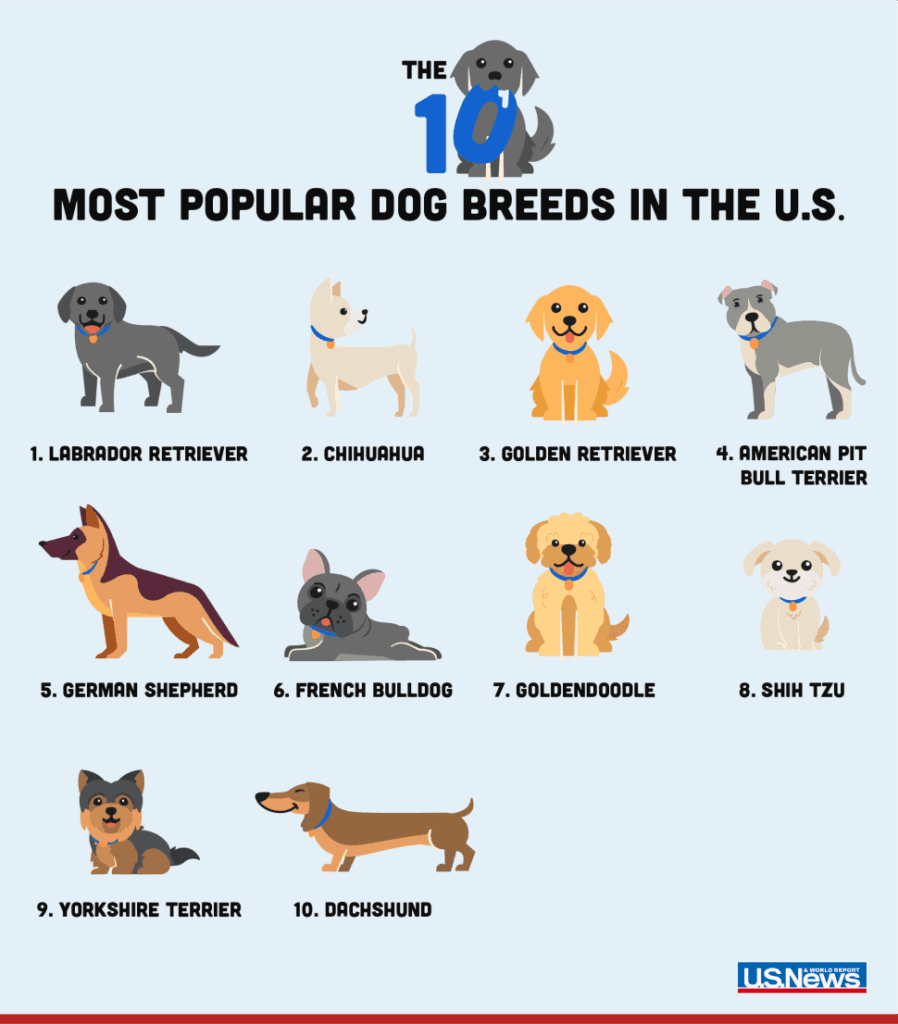 Top dog breeds by state