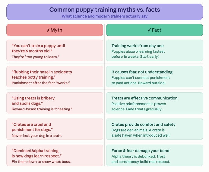 Puppy training 101: training myths