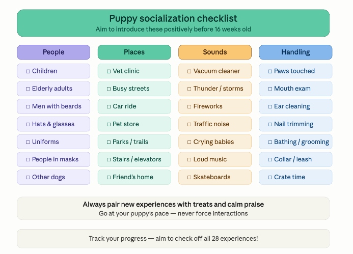 Puppy training 101: Socialization checklist