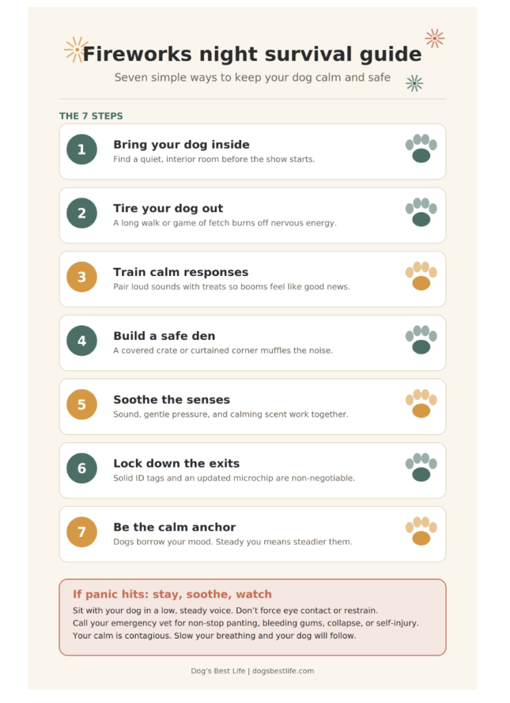 fireworks survival guide for dogs