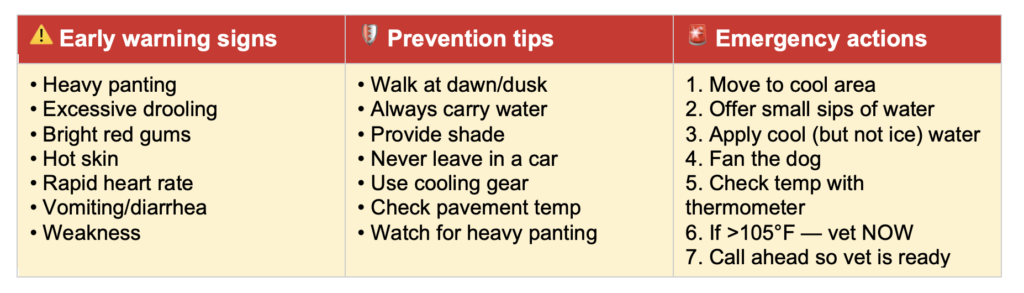 heatstroke warning signs