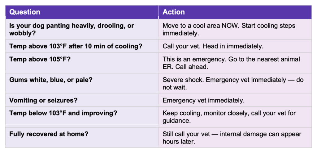 heat stroke vet decision tree