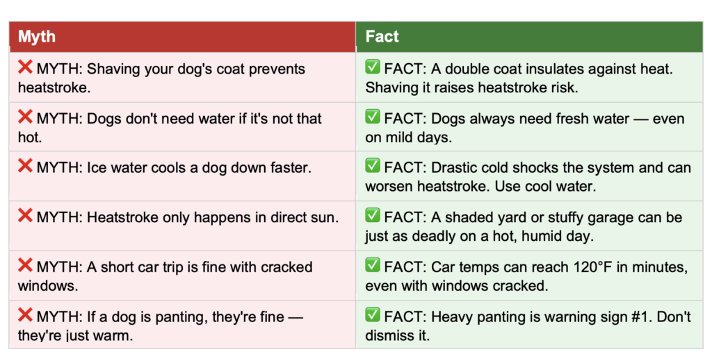 heat stroke myths