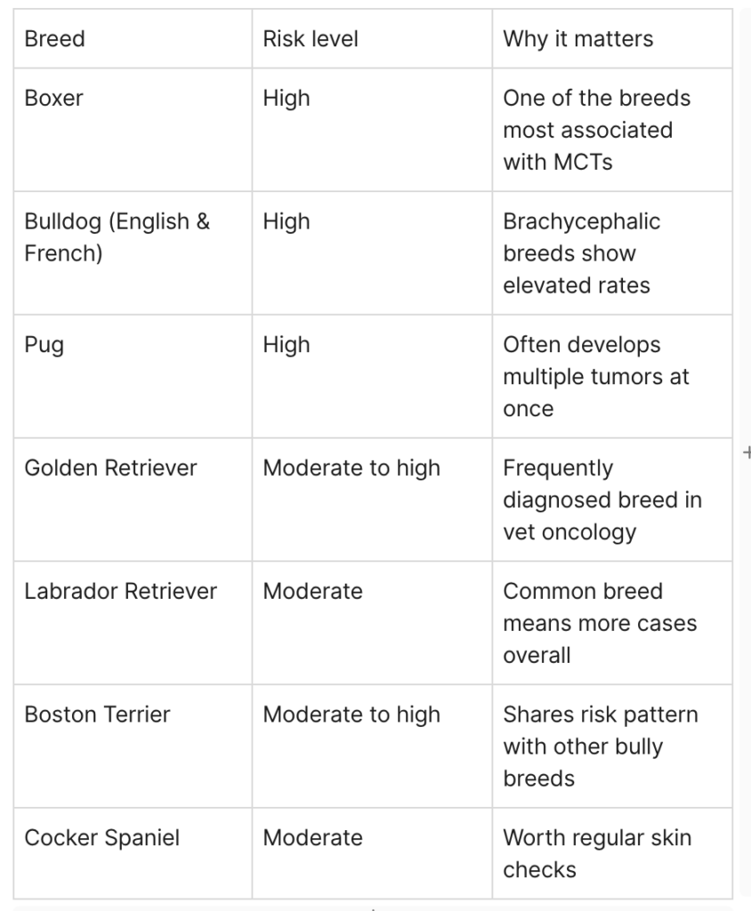 Graphic shows dog breeds most prone to mast cell tumors