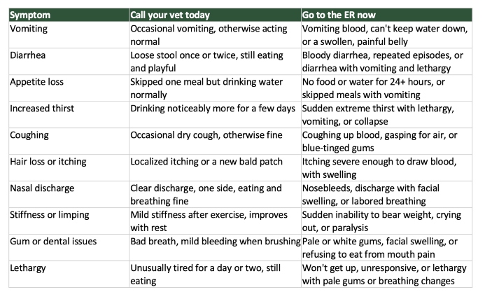 Dog health emergency checklist