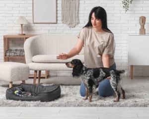 Owner trains dog. Photo for place command post.